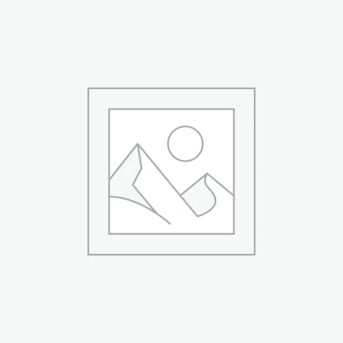woocommerce-placeholder Hoco C1 Three in one Car charger